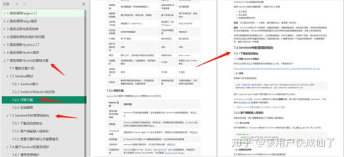微服务的困境与突破 从图片流式返回到高效实施路径
